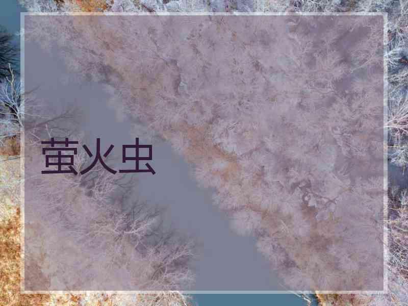 萤火虫