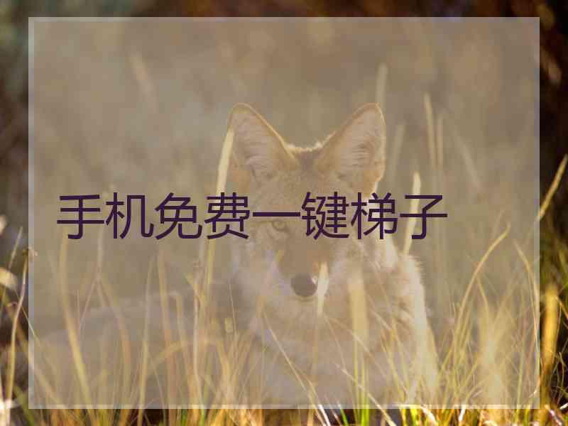 手机免费一键梯子