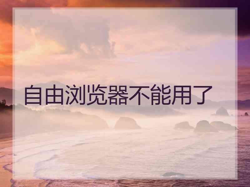 自由浏览器不能用了