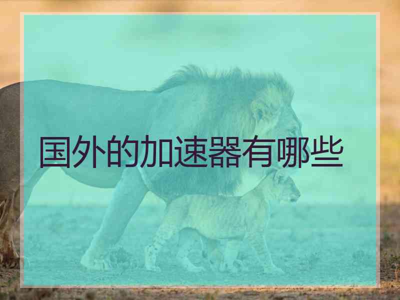 国外的加速器有哪些