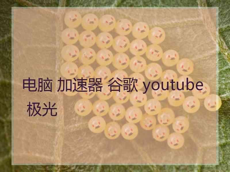 电脑 加速器 谷歌 youtube 极光