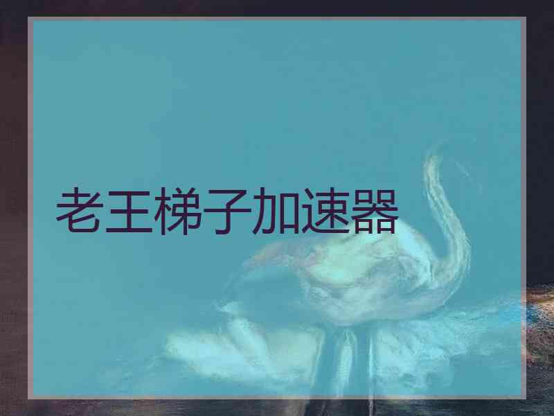 老王梯子加速器