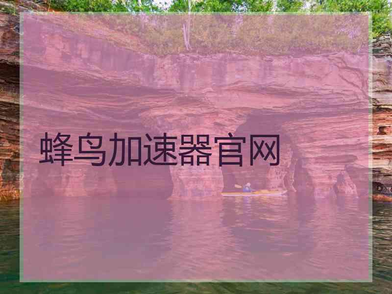 蜂鸟加速器官网