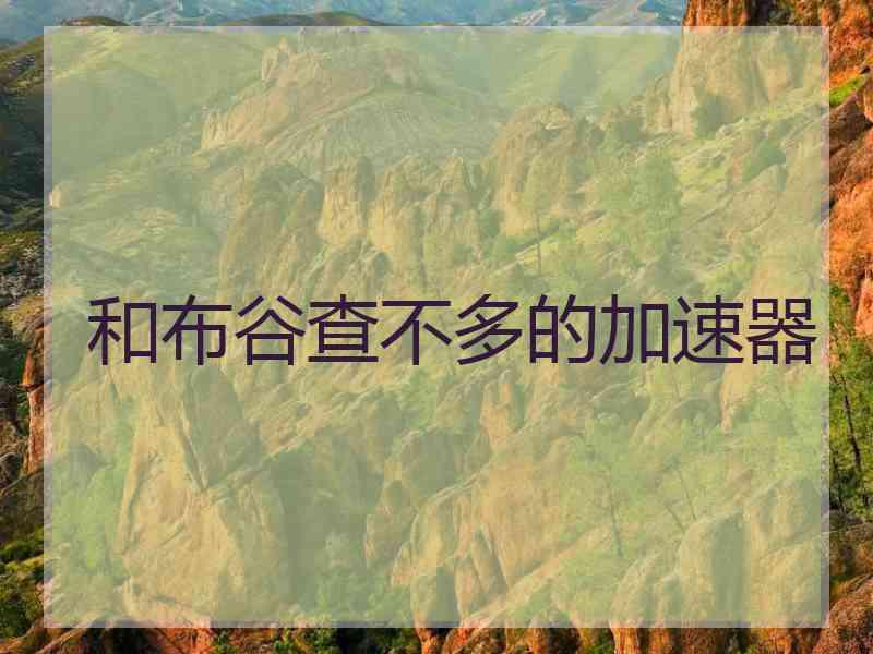 和布谷查不多的加速器