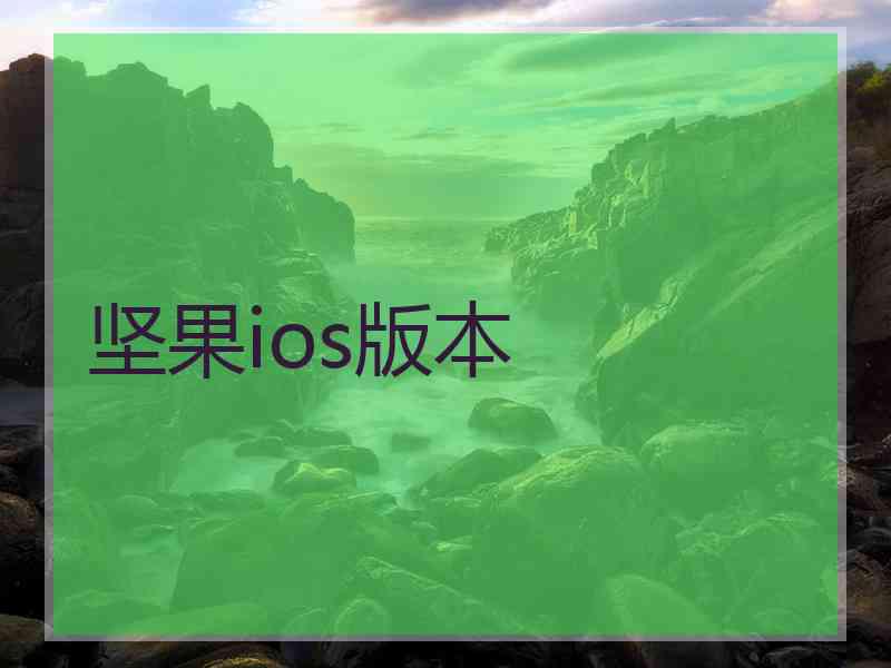 坚果ios版本