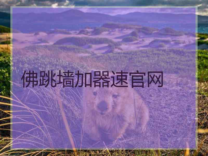 佛跳墙加器速官网