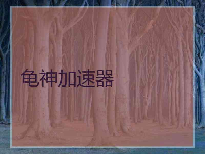 龟神加速器