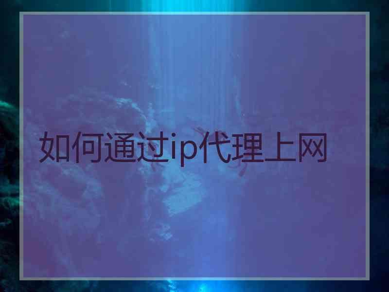 如何通过ip代理上网