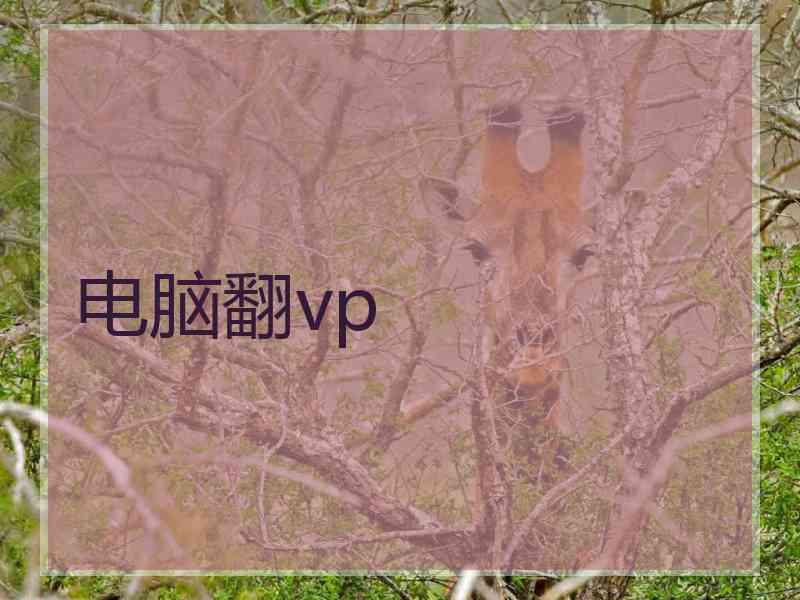 电脑翻vp