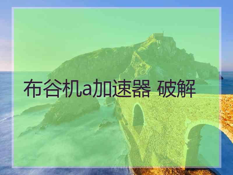 布谷机a加速器 破解