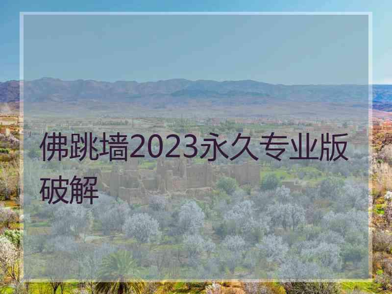 佛跳墙2023永久专业版破解