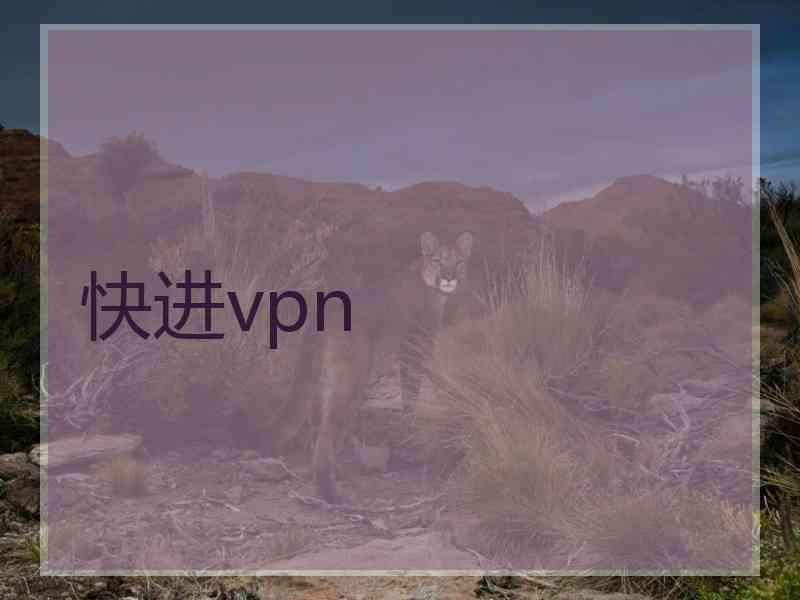 快进vpn