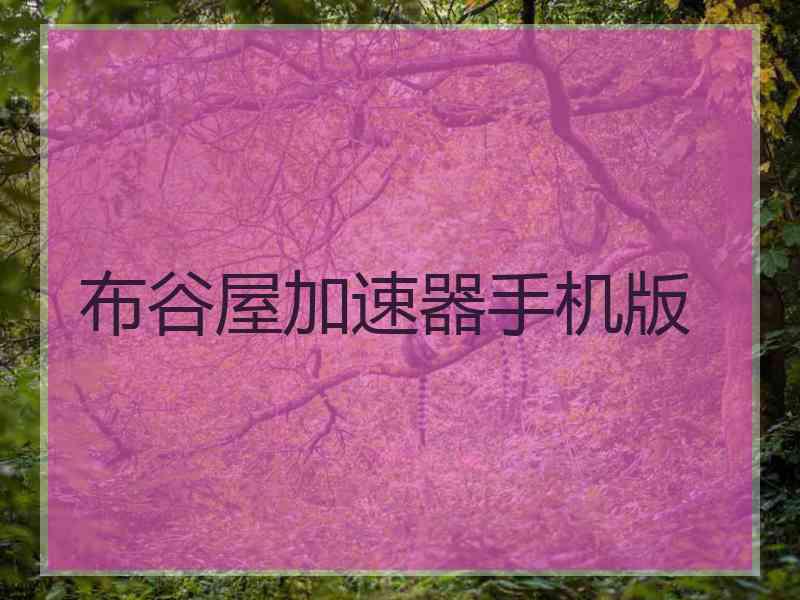 布谷屋加速器手机版