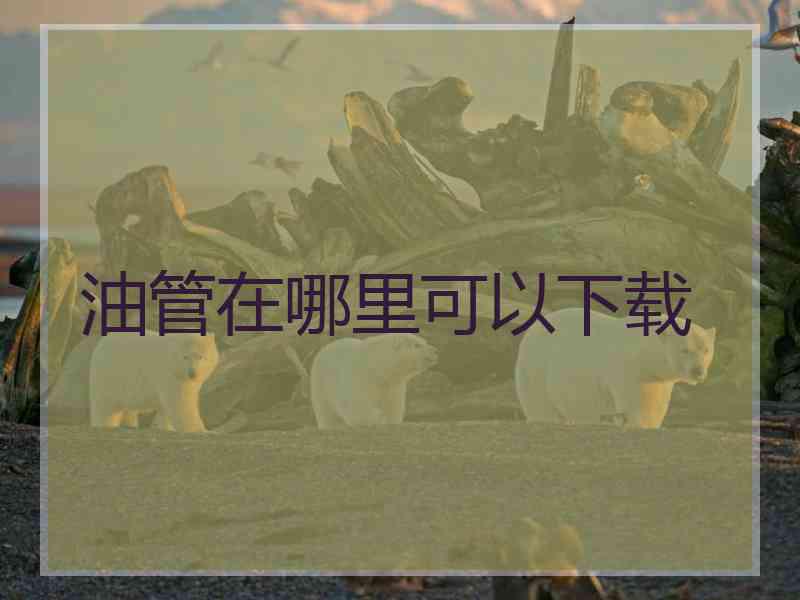 油管在哪里可以下载
