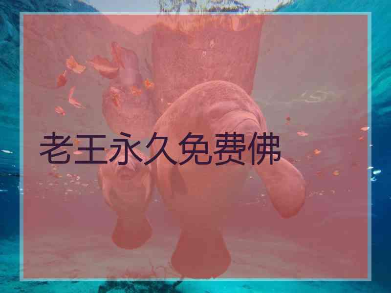 老王永久免费佛