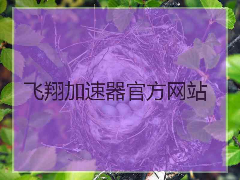飞翔加速器官方网站