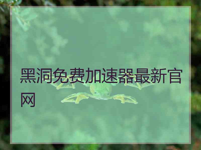 黑洞免费加速器最新官网