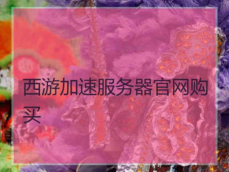 西游加速服务器官网购买