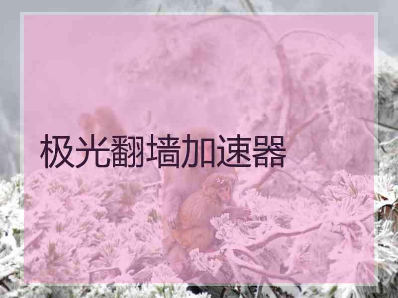 极光翻墙加速器