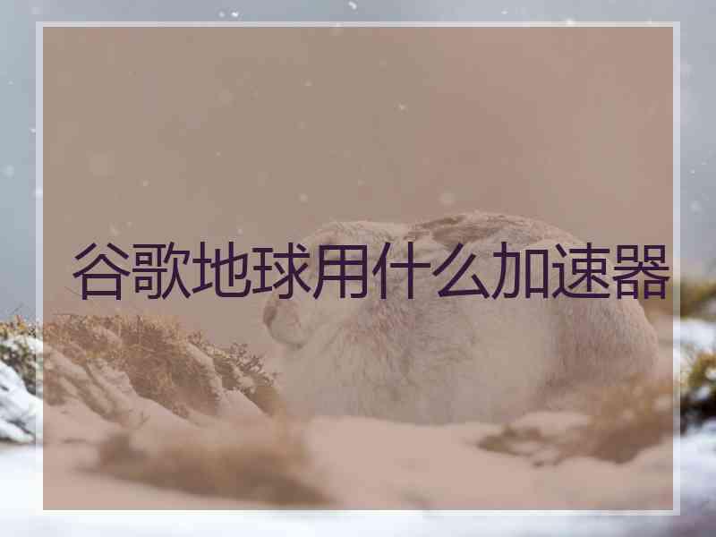 谷歌地球用什么加速器