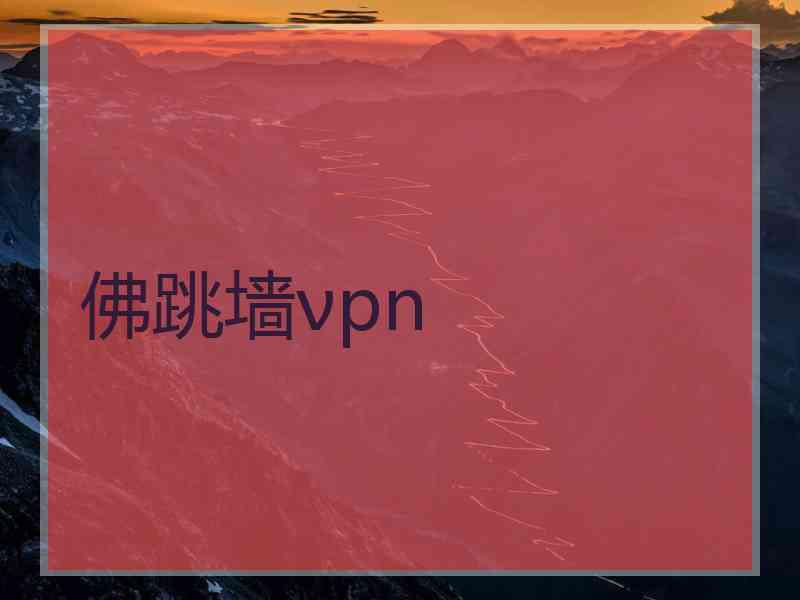 佛跳墙νpn
