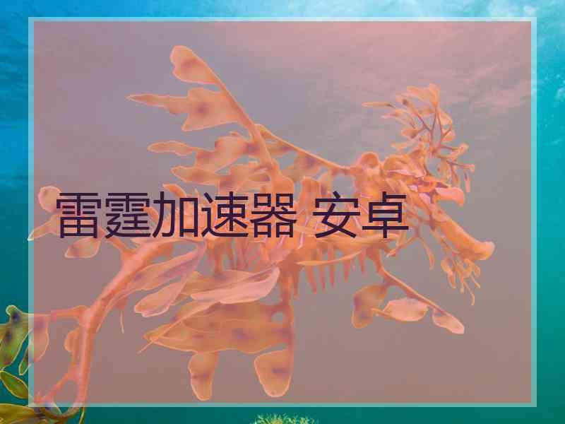 雷霆加速器 安卓