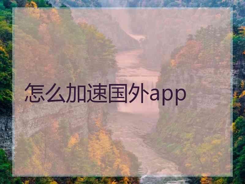 怎么加速国外app
