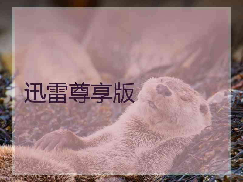 迅雷尊享版