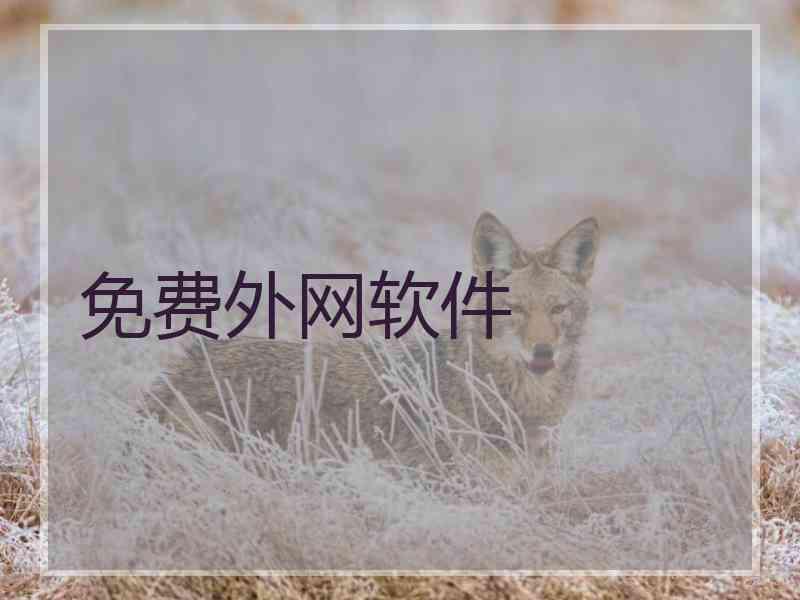免费外网软件