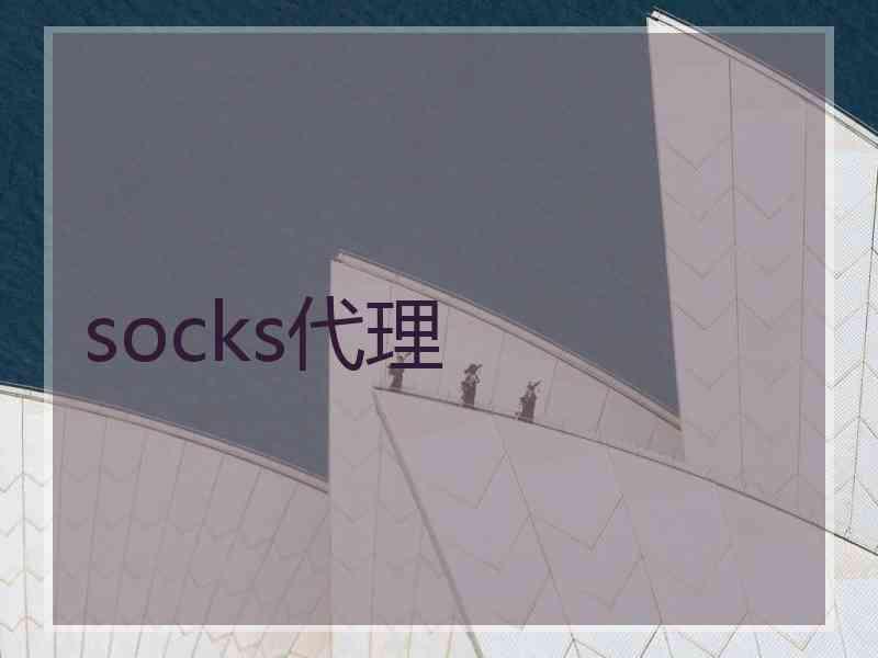 socks代理