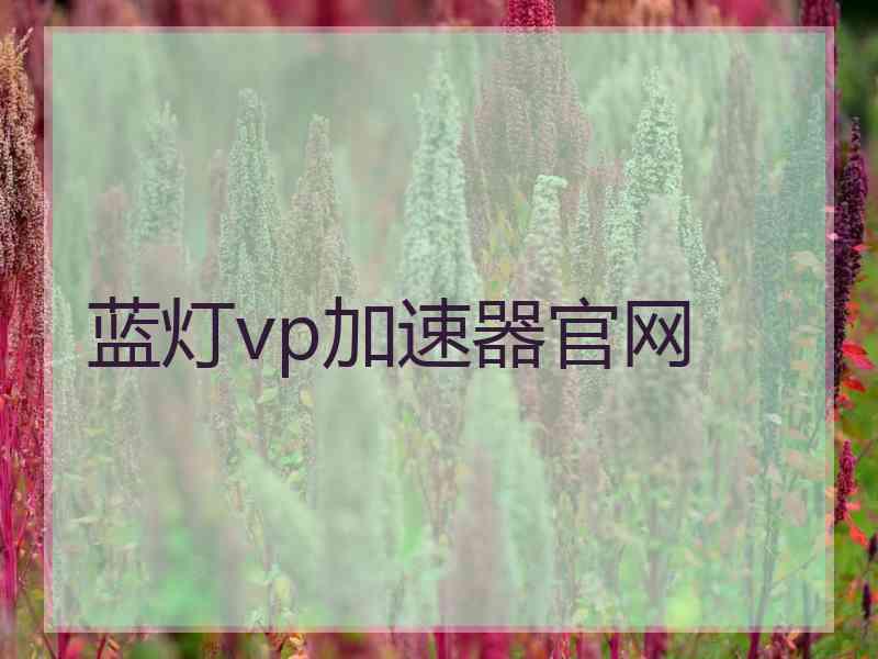 蓝灯vp加速器官网