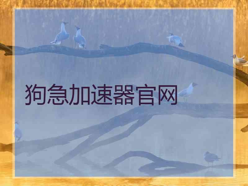 狗急加速器官网
