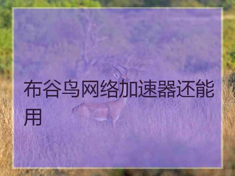 布谷鸟网络加速器还能用