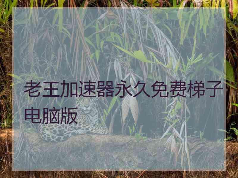 老王加速器永久免费梯子电脑版
