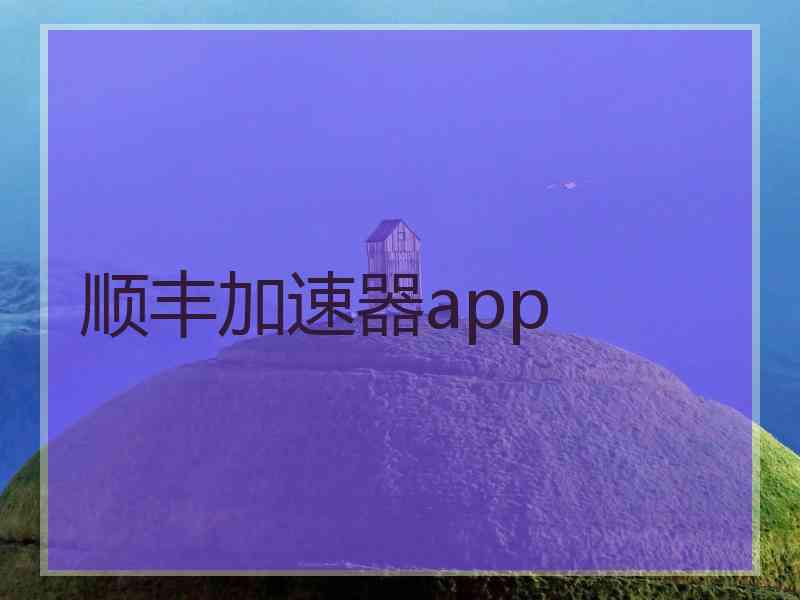 顺丰加速器app