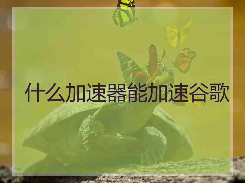 什么加速器能加速谷歌