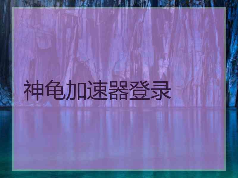 神龟加速器登录
