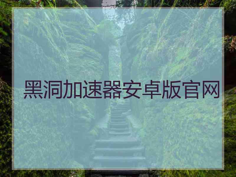 黑洞加速器安卓版官网