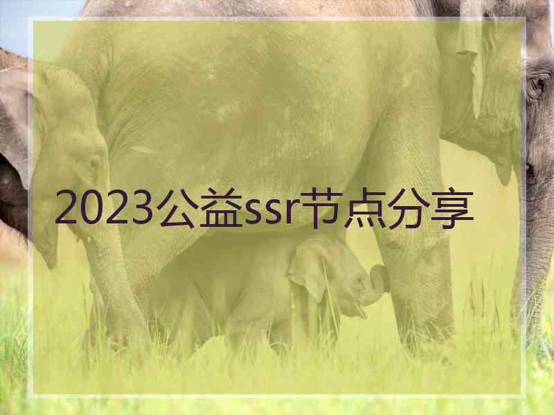 2023公益ssr节点分享