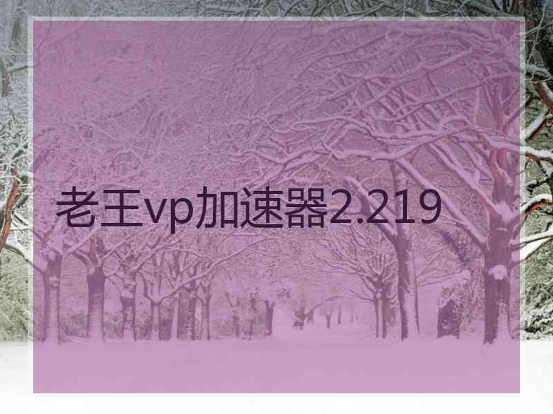 老王vp加速器2.219