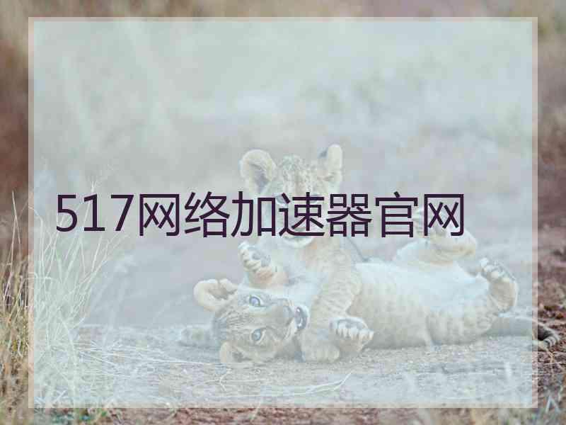 517网络加速器官网