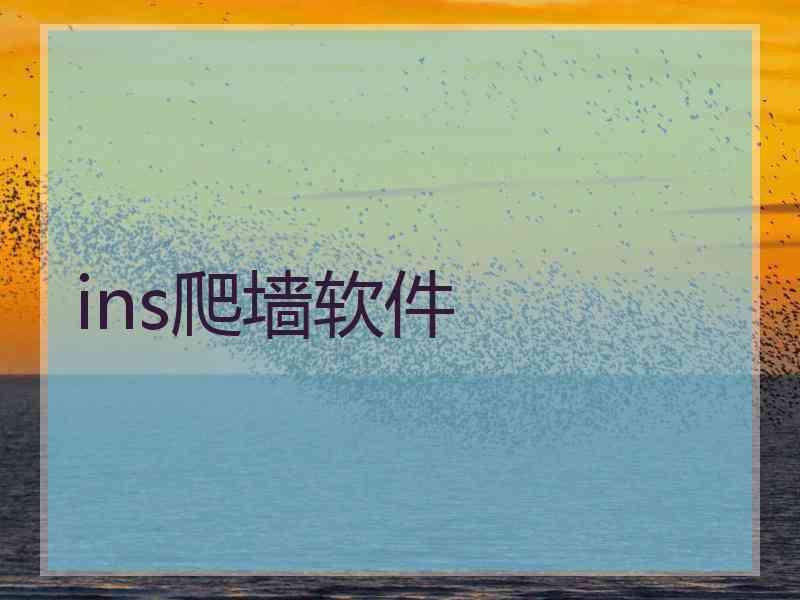 ins爬墙软件