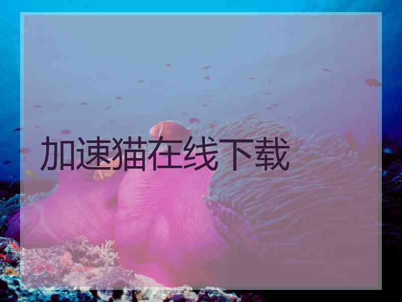 加速猫在线下载