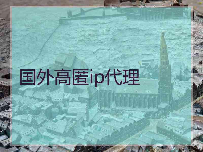 国外高匿ip代理