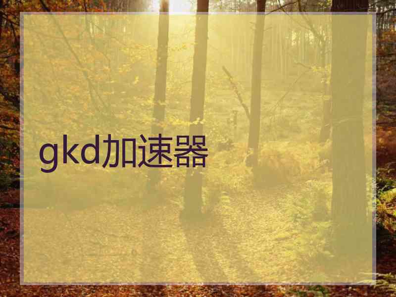 gkd加速器