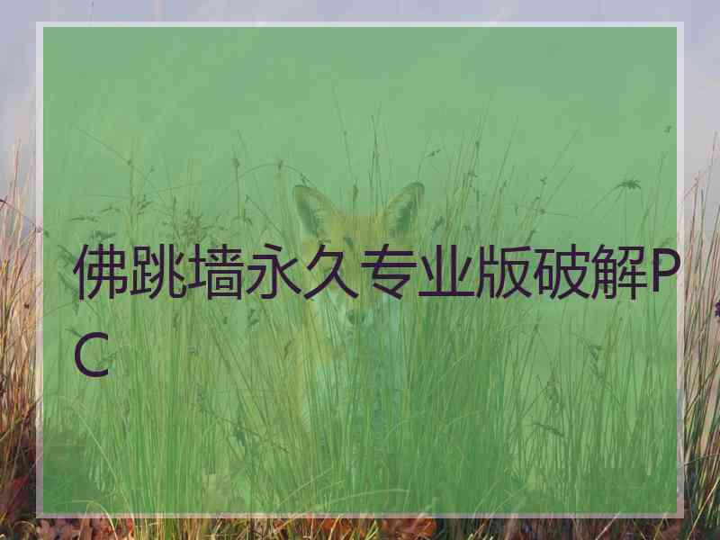 佛跳墙永久专业版破解PC