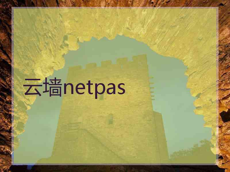 云墙netpas