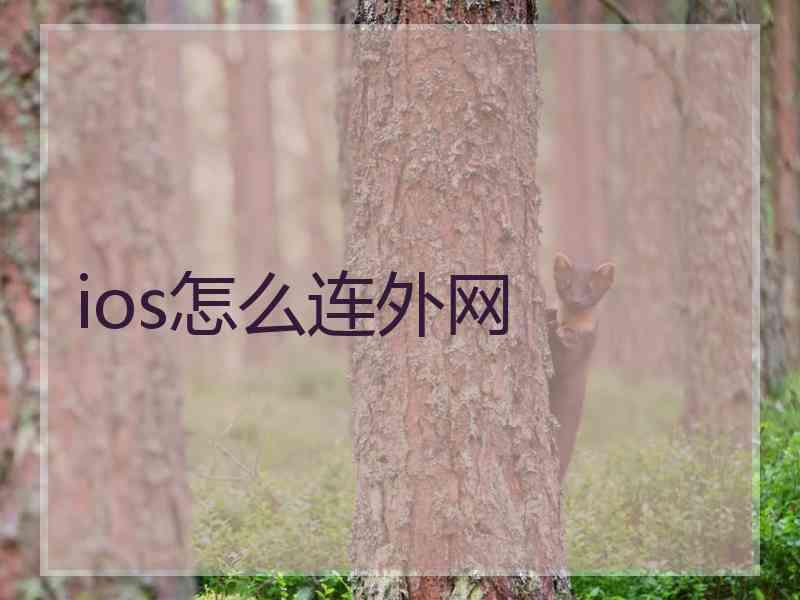 ios怎么连外网