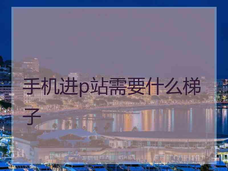 手机进p站需要什么梯子