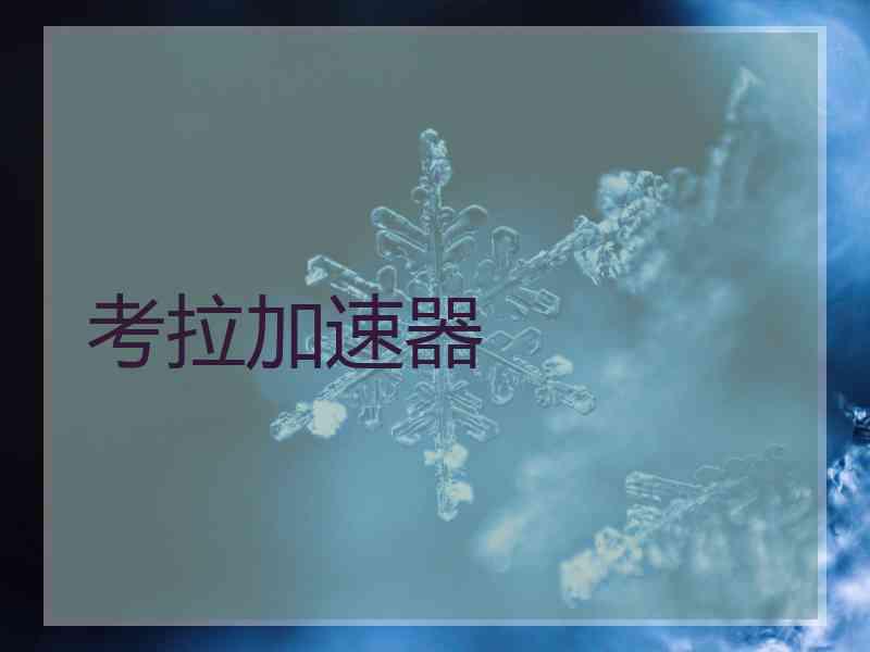 考拉加速器